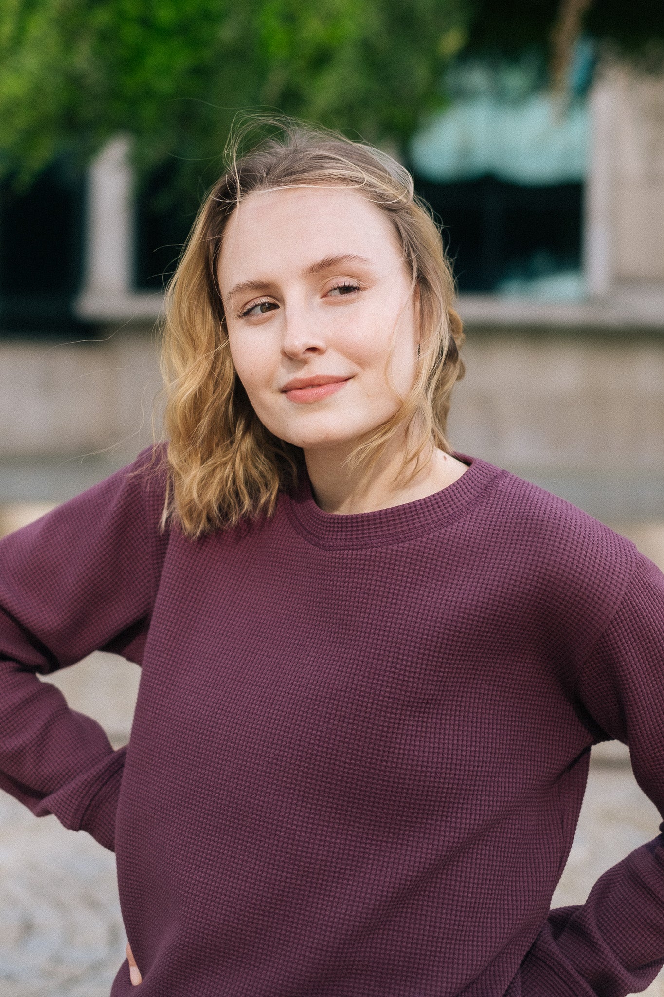 HIVE SWEATSHIRT CREWNECK / PLUM - Touch Me Not Clothing