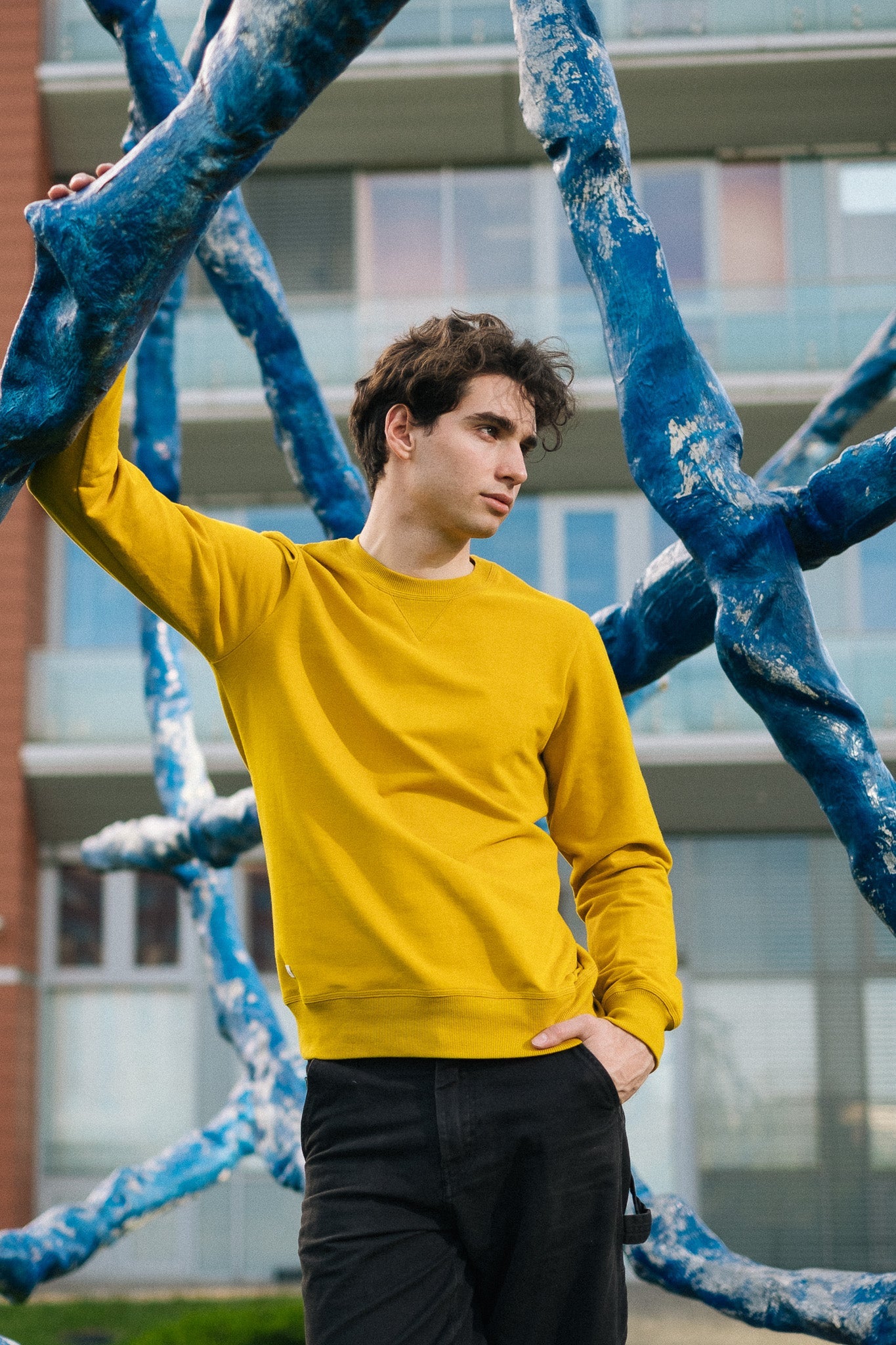 COVER SWEATSHIRT LIGHT MEN'S / MUSTARD