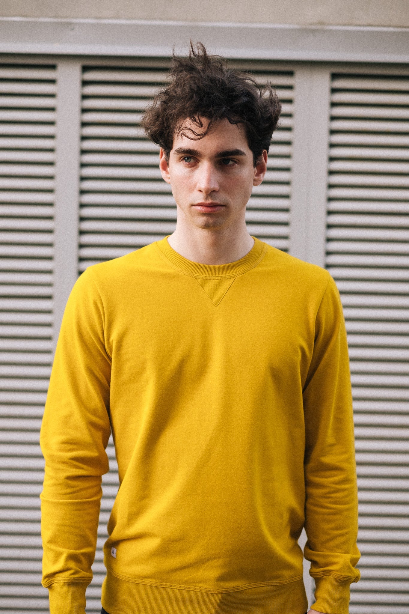 COVER SWEATSHIRT LIGHT MEN'S / MUSTARD