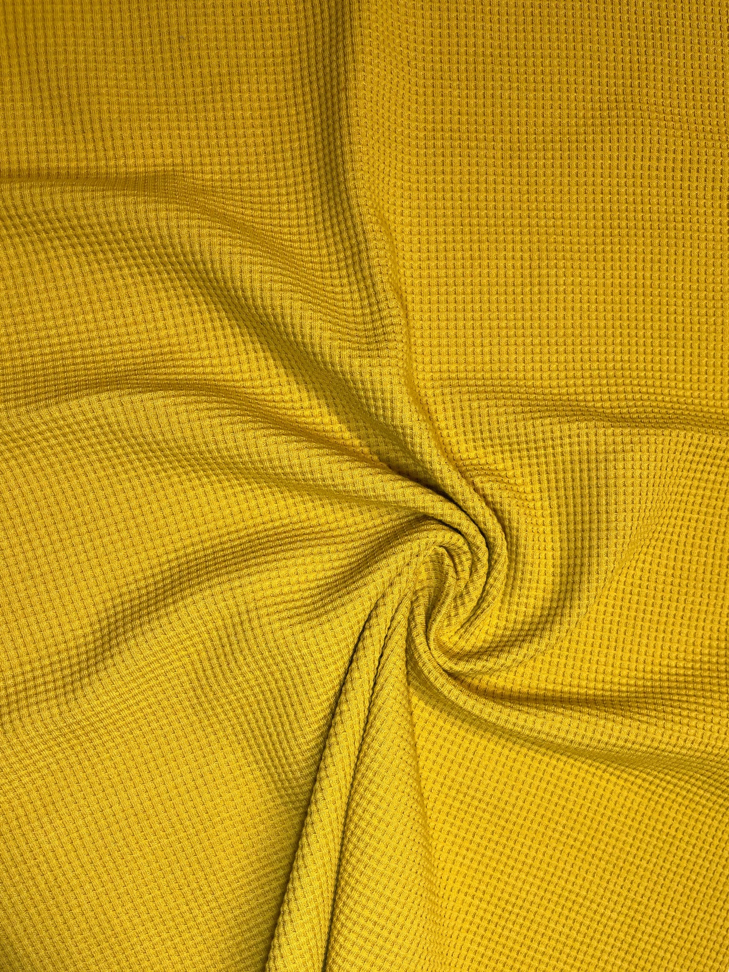 HIVE CREWNECK / MUSTARD