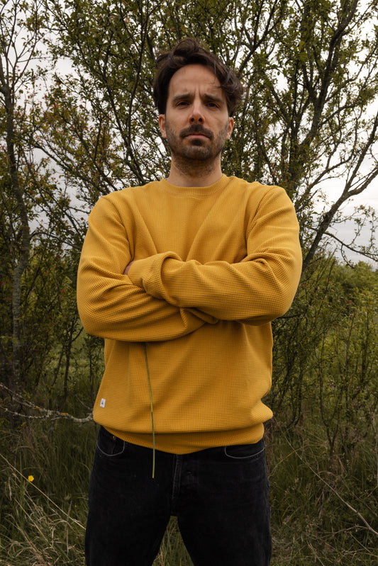 HIVE CREWNECK / MUSTARD