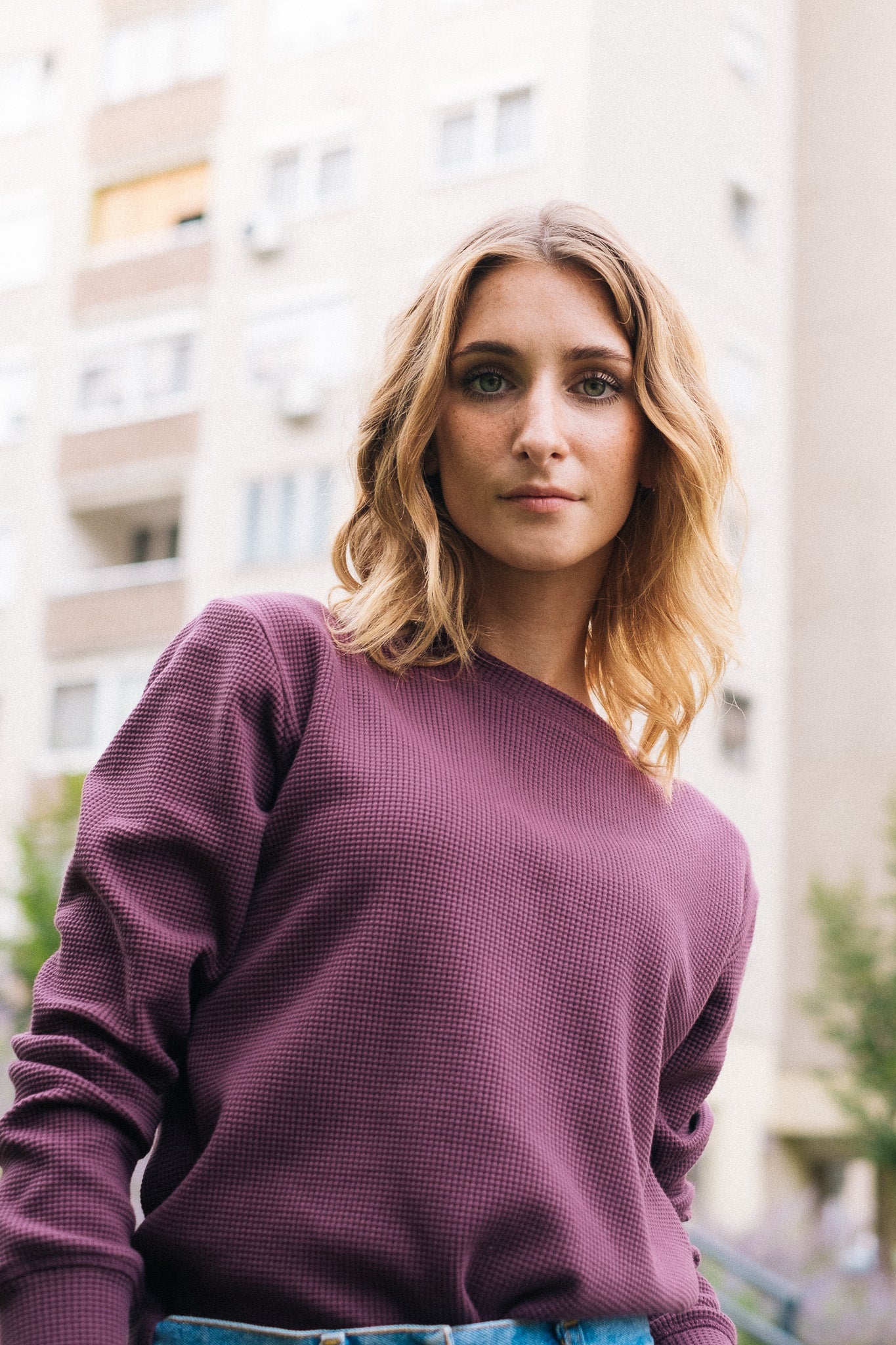 HIVE SWEATSHIRT CREWNECK / PLUM - Touch Me Not Clothing