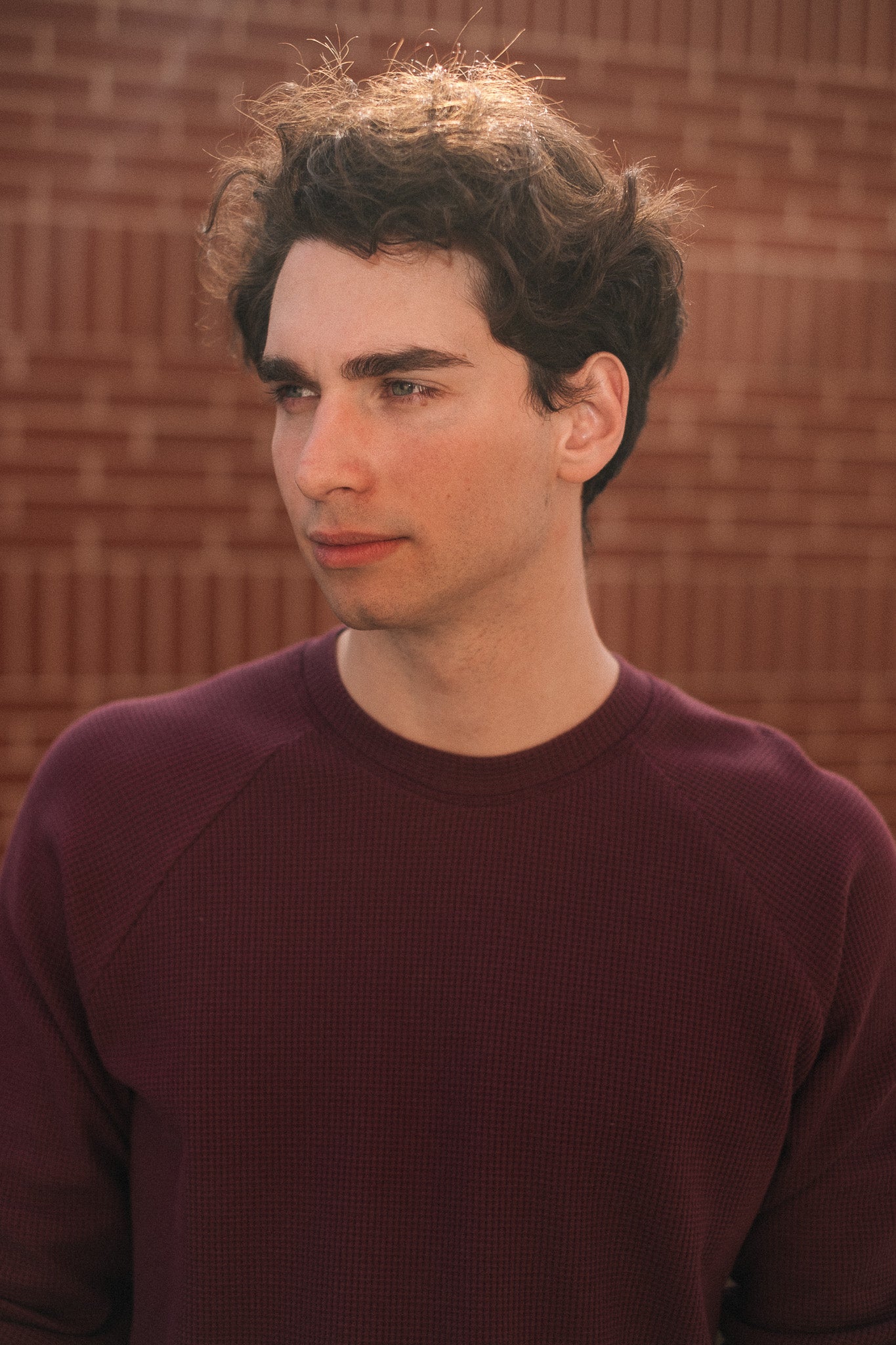 HIVE SWEATSHIRT RAGLAN / PLUM