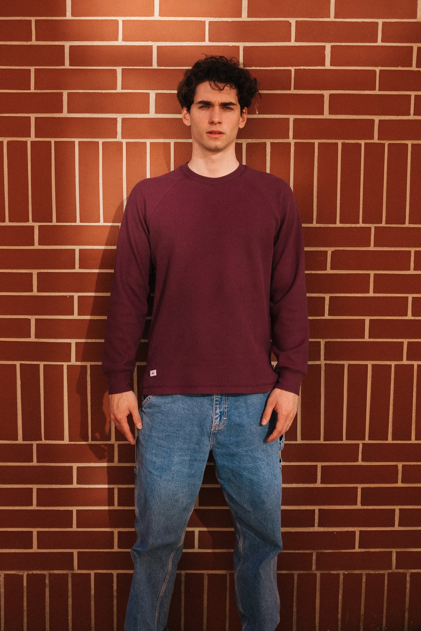 HIVE SWEATSHIRT RAGLAN / PLUM