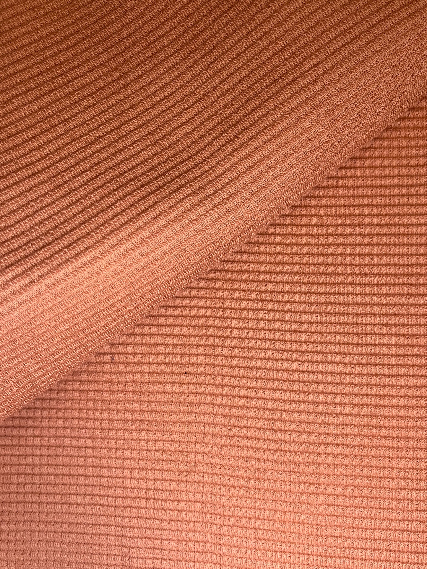 SARA TOP / CEDAR