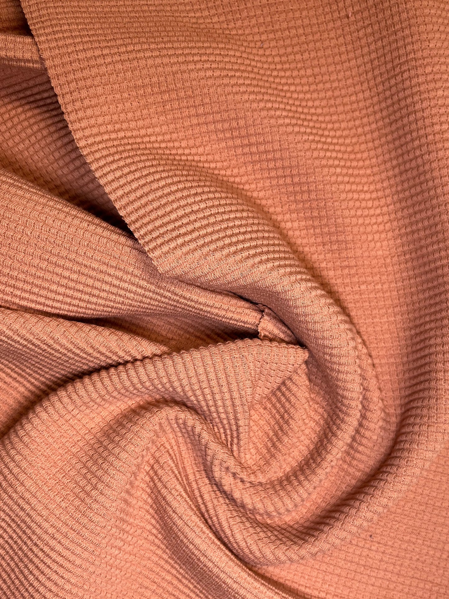 SARA TOP / CEDAR
