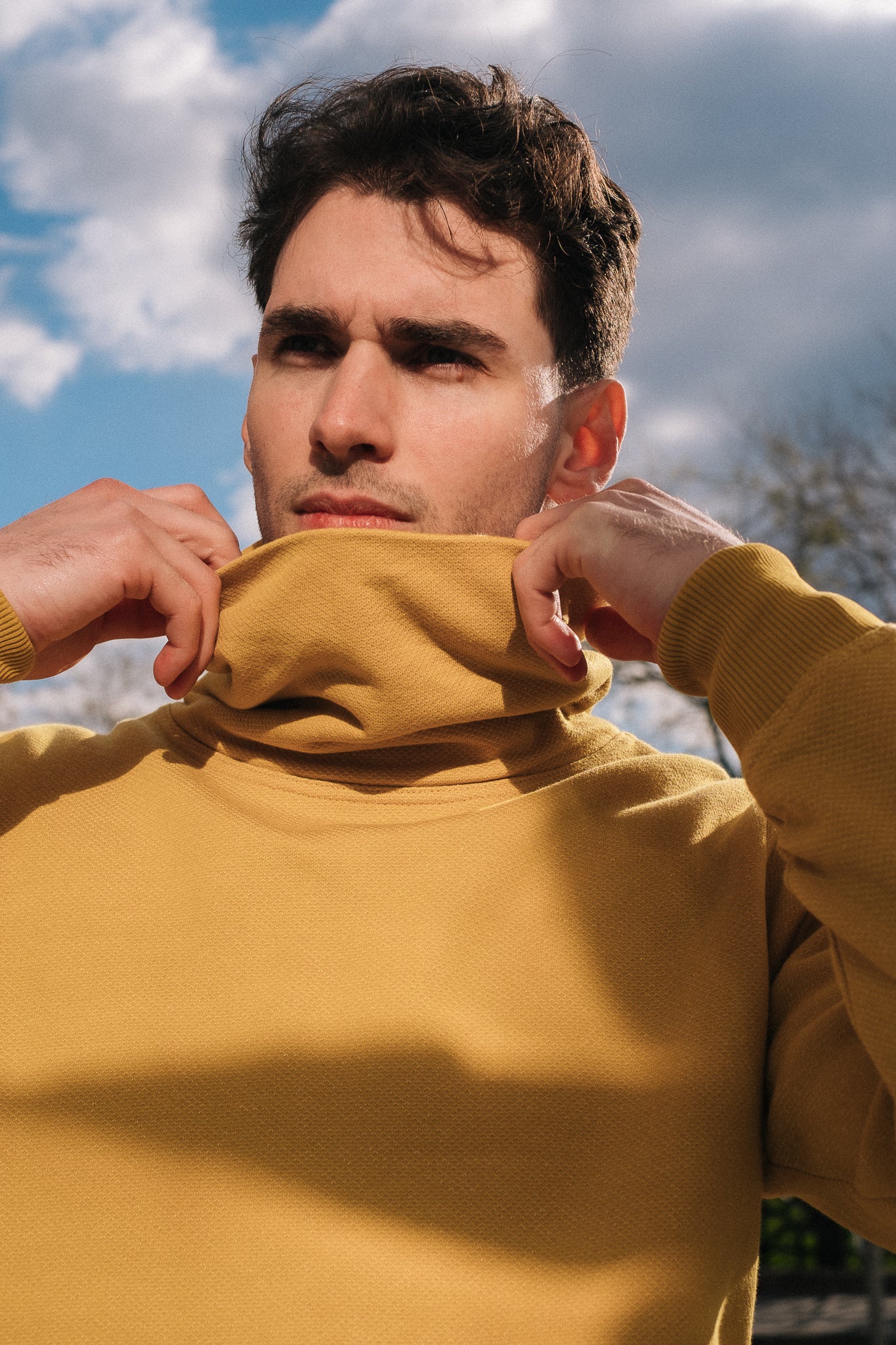BICOLOR FUNNELNECK / MUSTARD