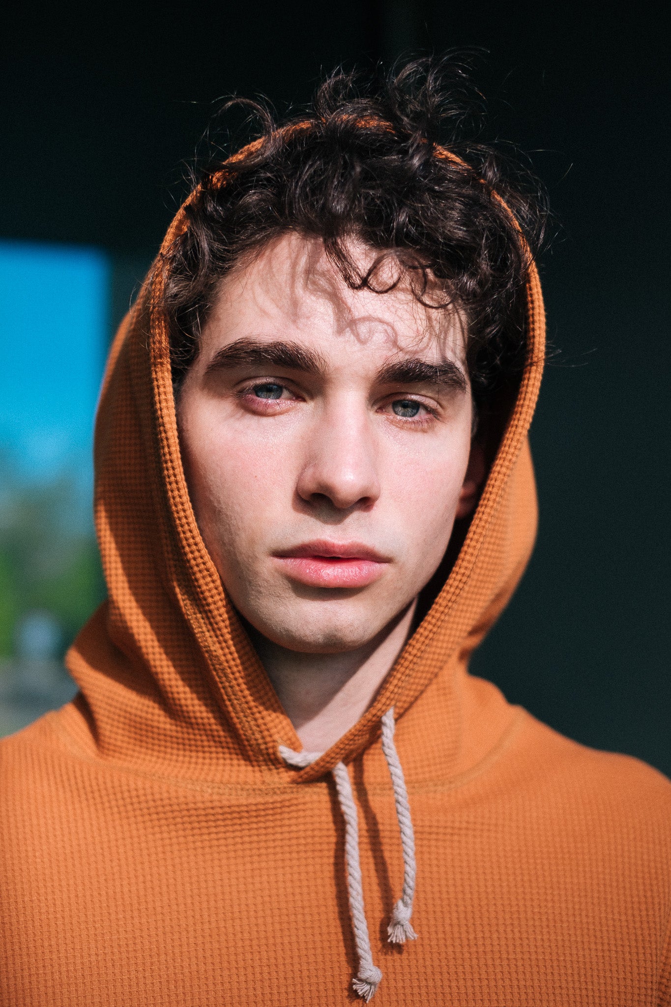HIVE HOODIE / BRICK
