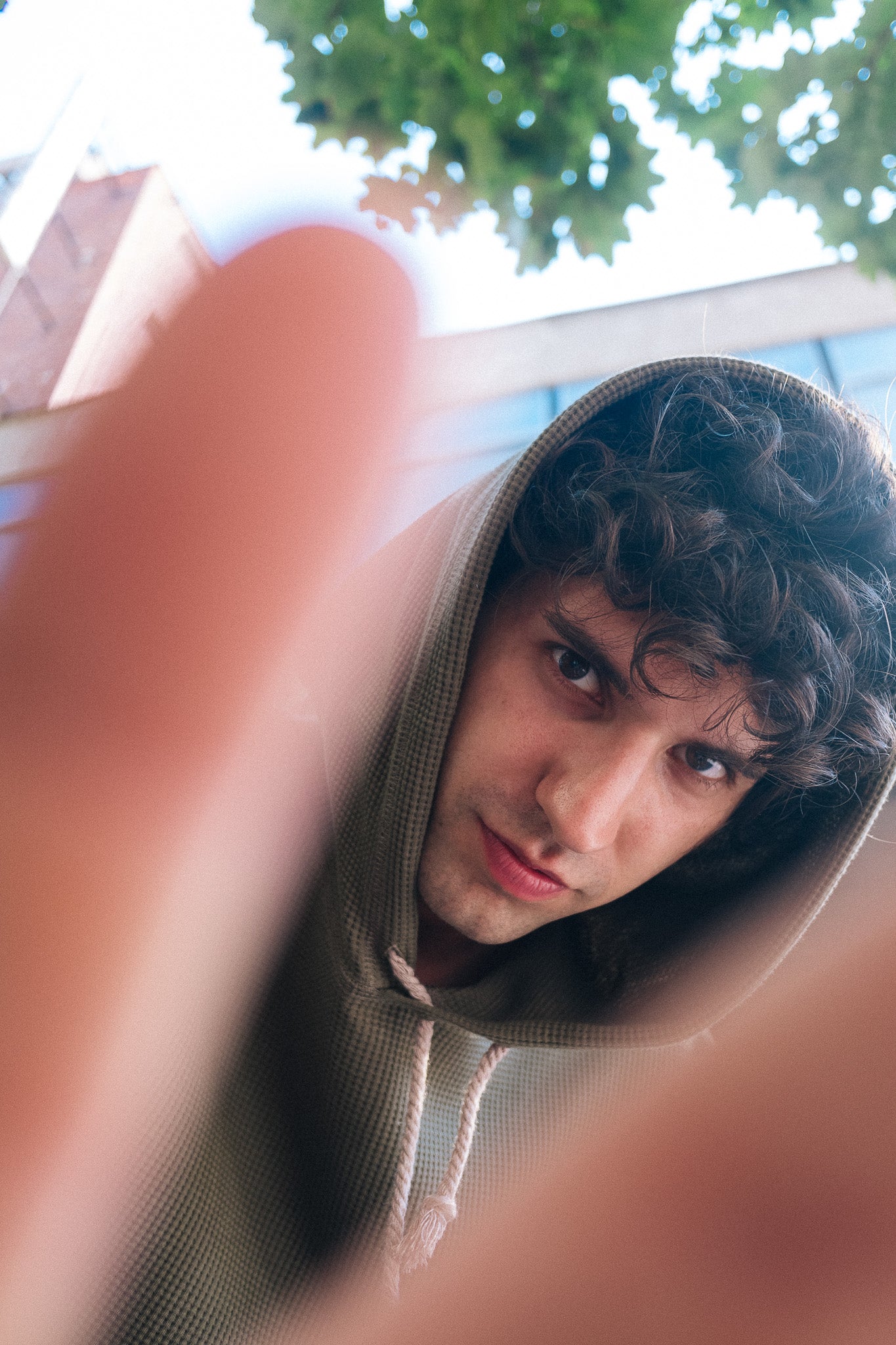 HIVE HOODIE / OLIVE