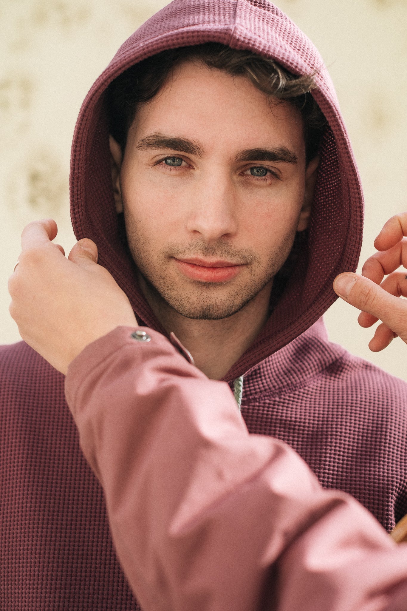 HIVE HOODIE / PLUM