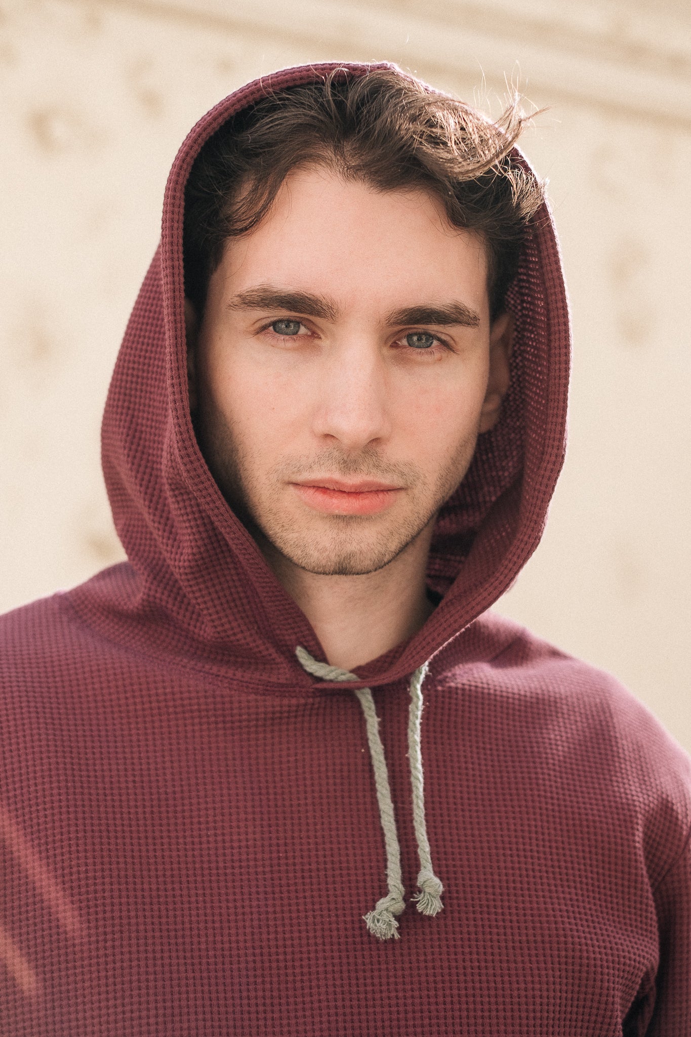 HIVE HOODIE / PLUM