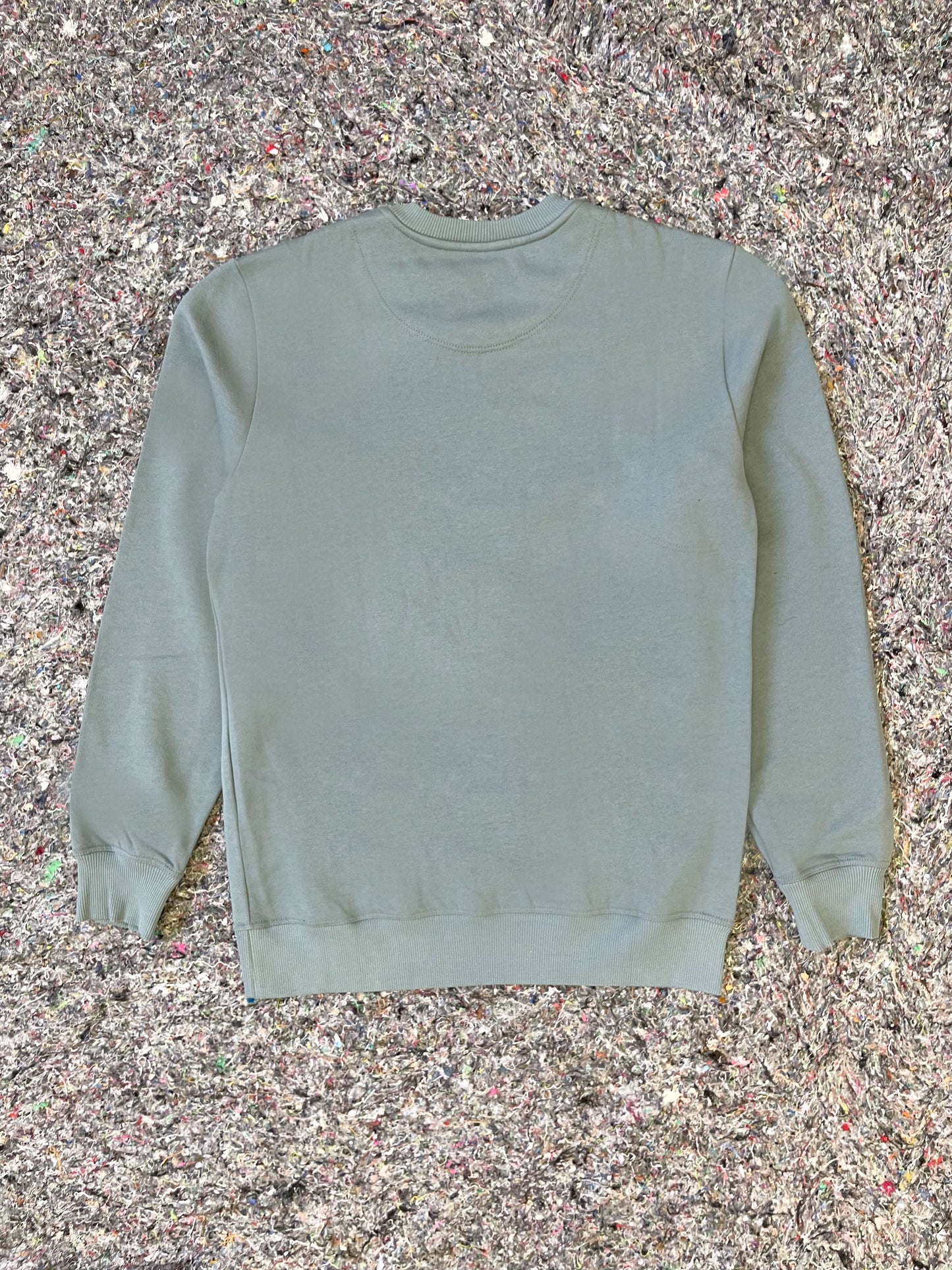 BIRDS CREWNECK MEN'S 1 / AIR