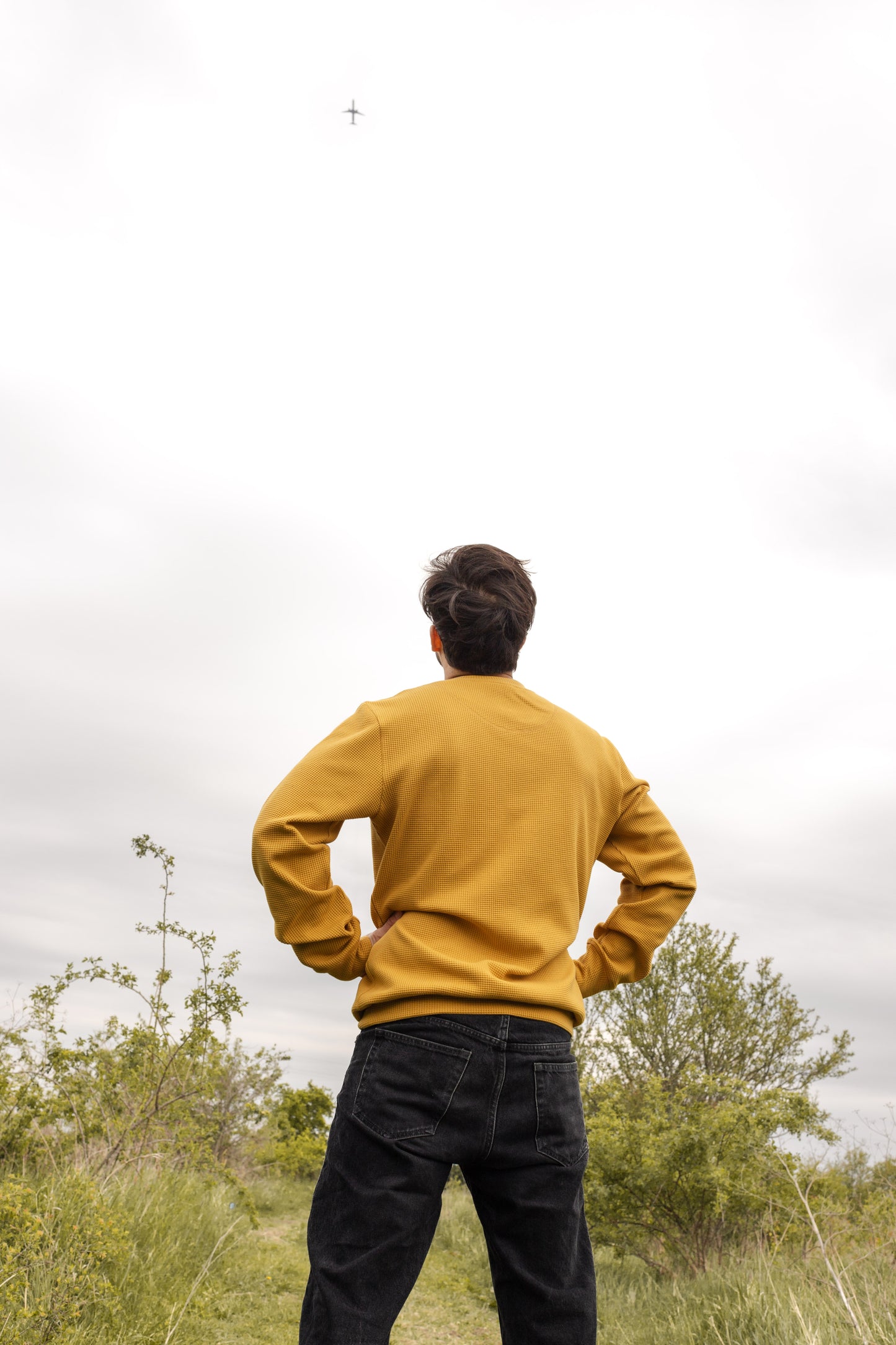 HIVE CREWNECK / MUSTARD
