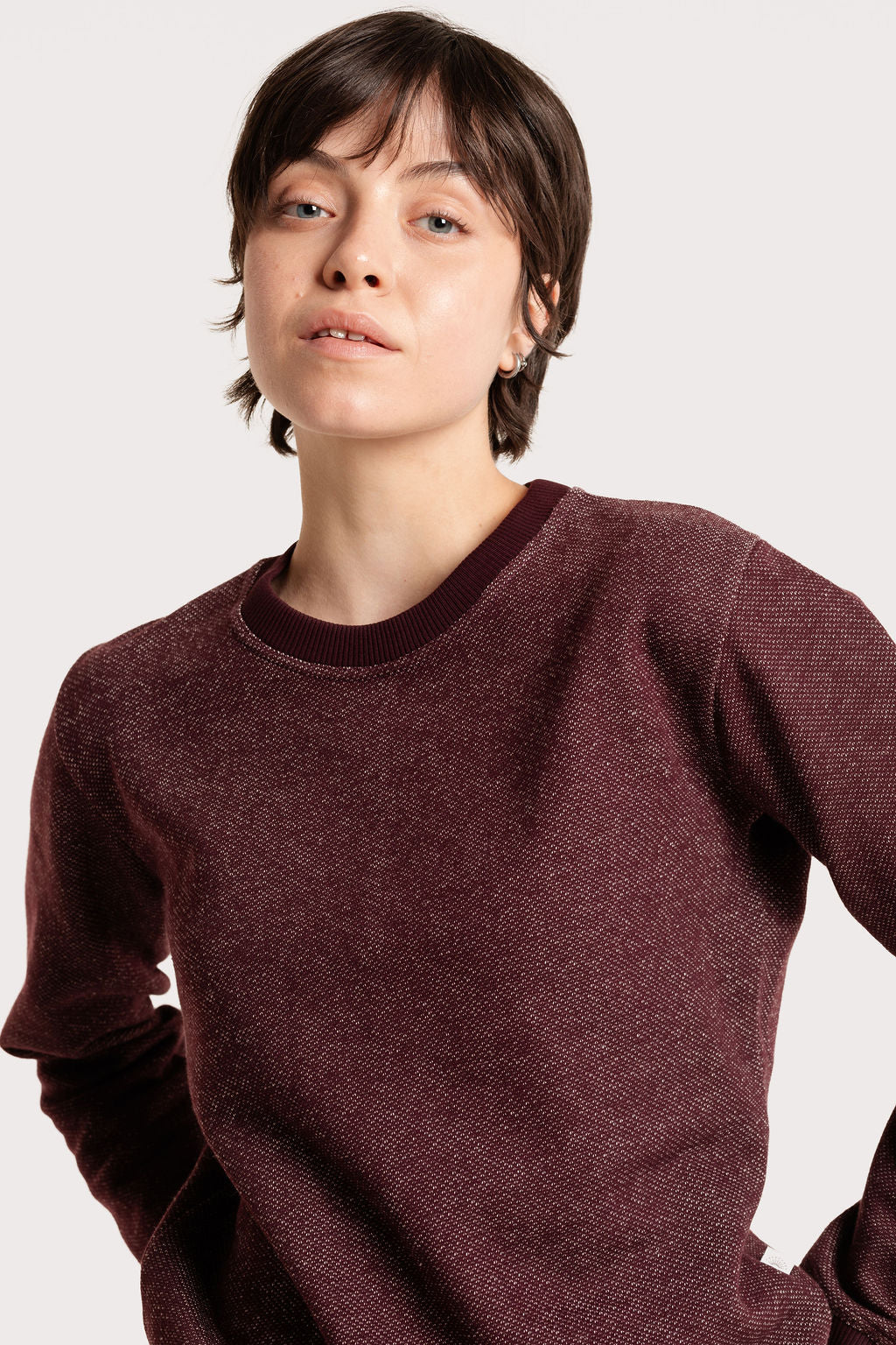BICOLOR CREWNECK / WINE