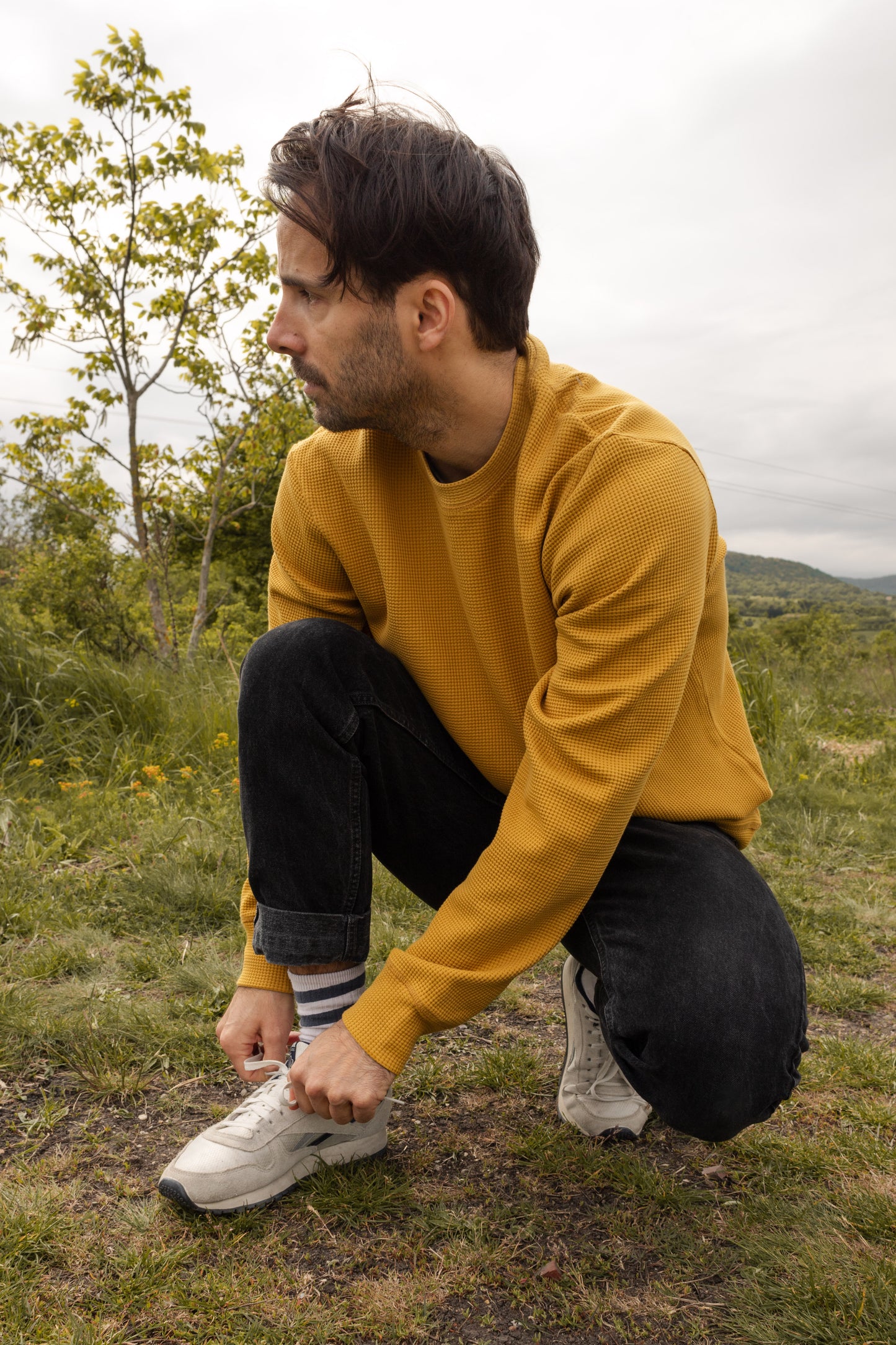 HIVE CREWNECK / MUSTARD