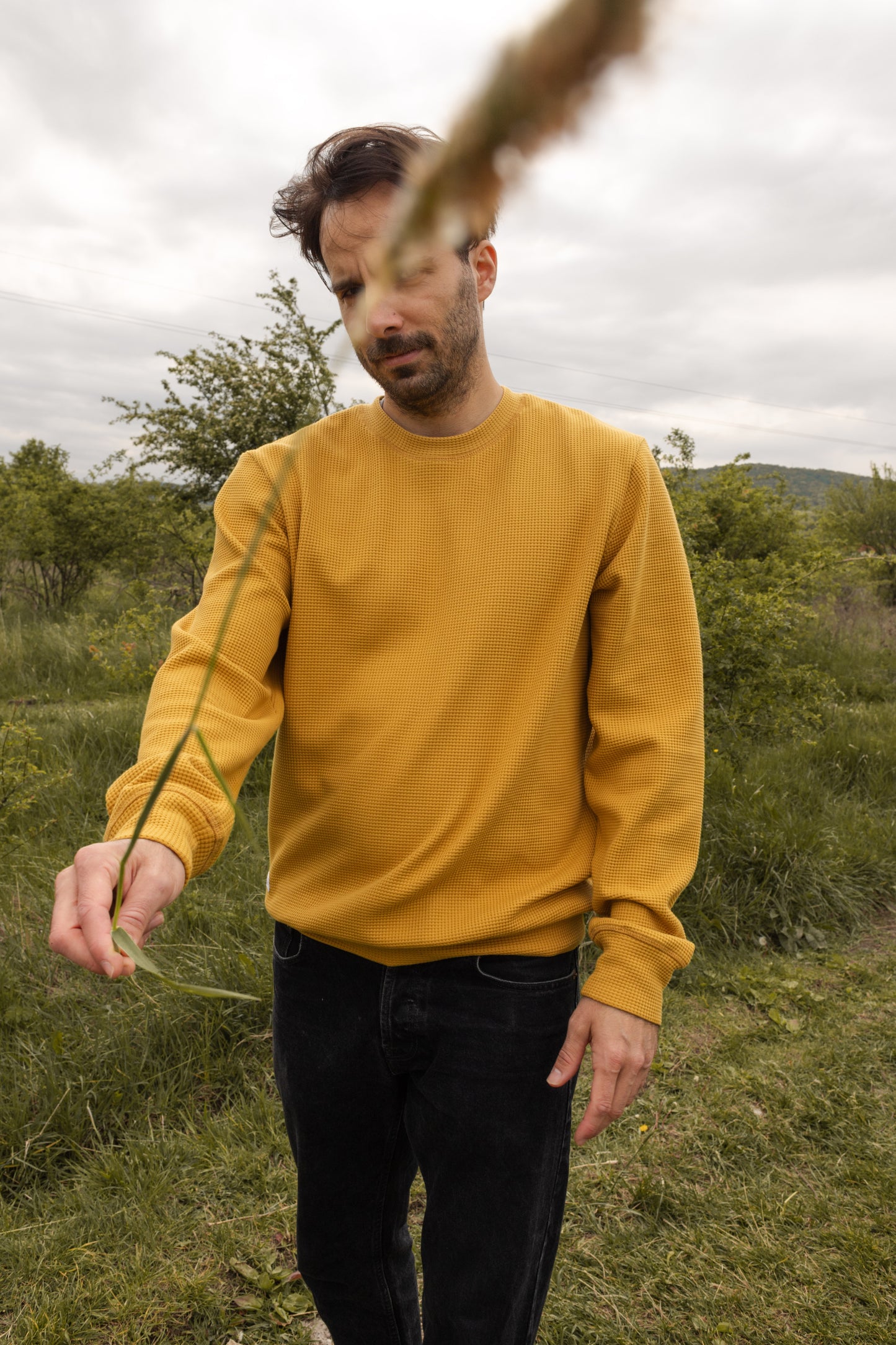 HIVE CREWNECK / MUSTARD