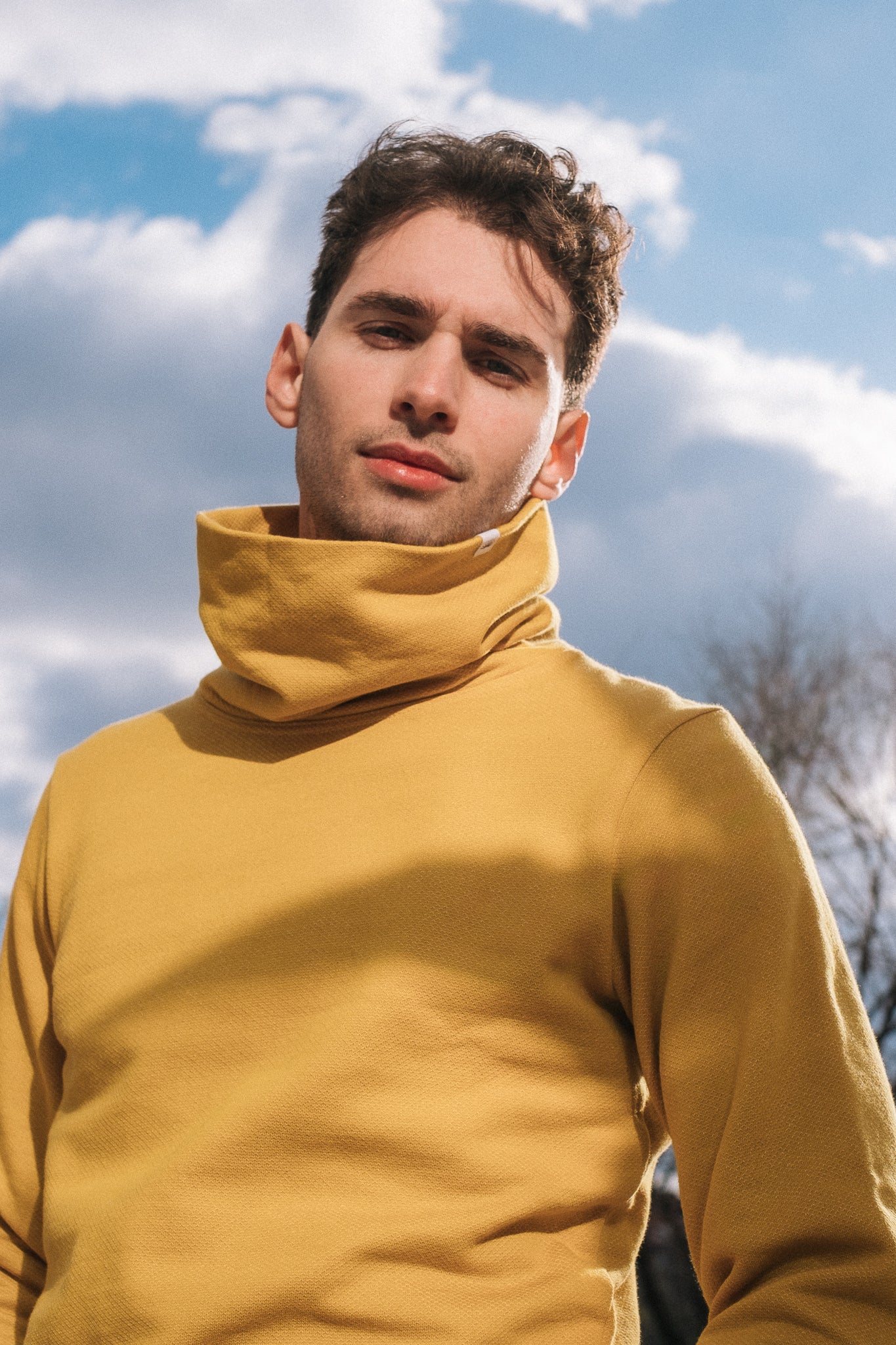BICOLOR FUNNELNECK / MUSTARD