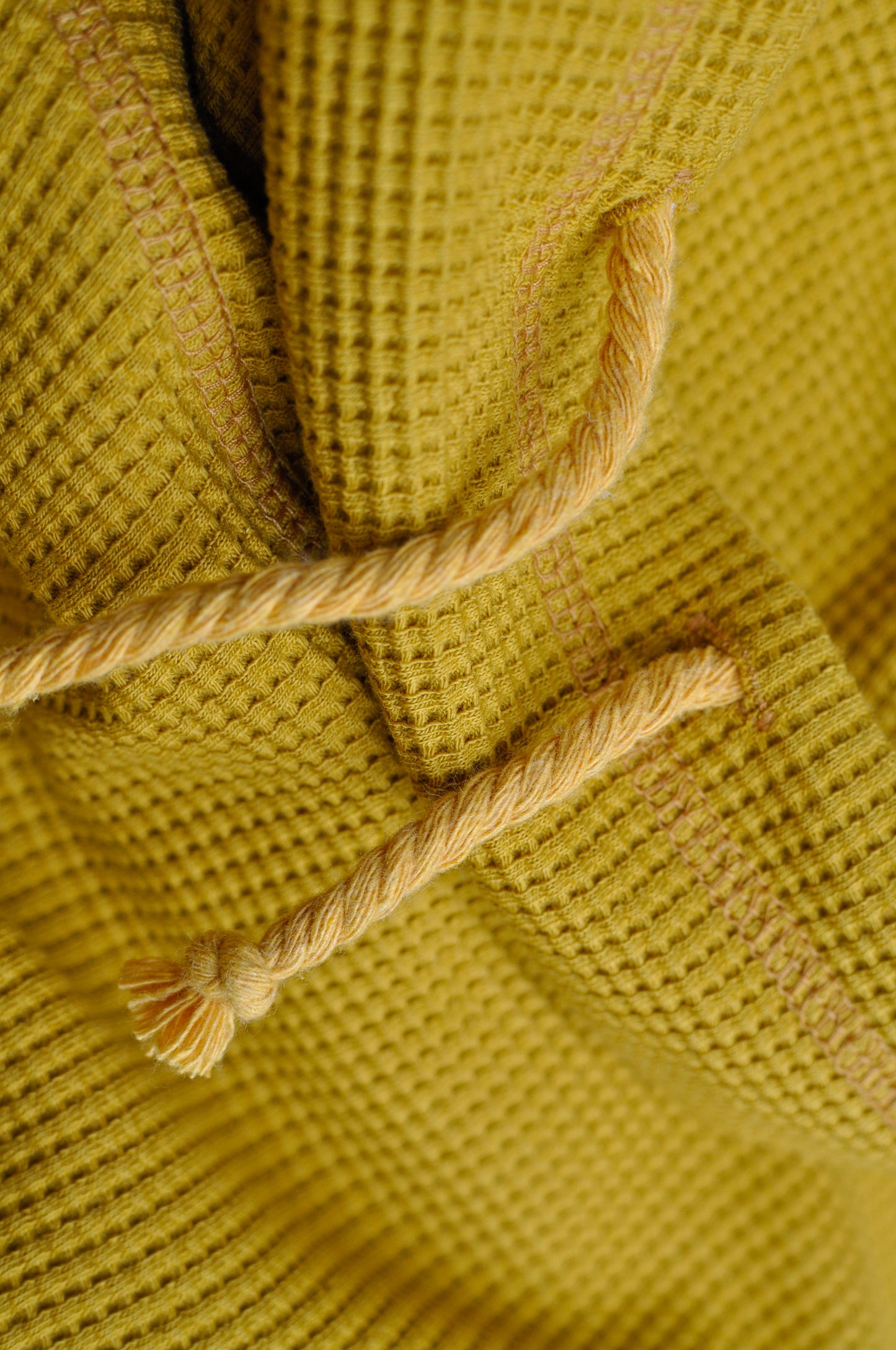 HIVE TUBE NECK SWEATSHIRT / MUSTARD