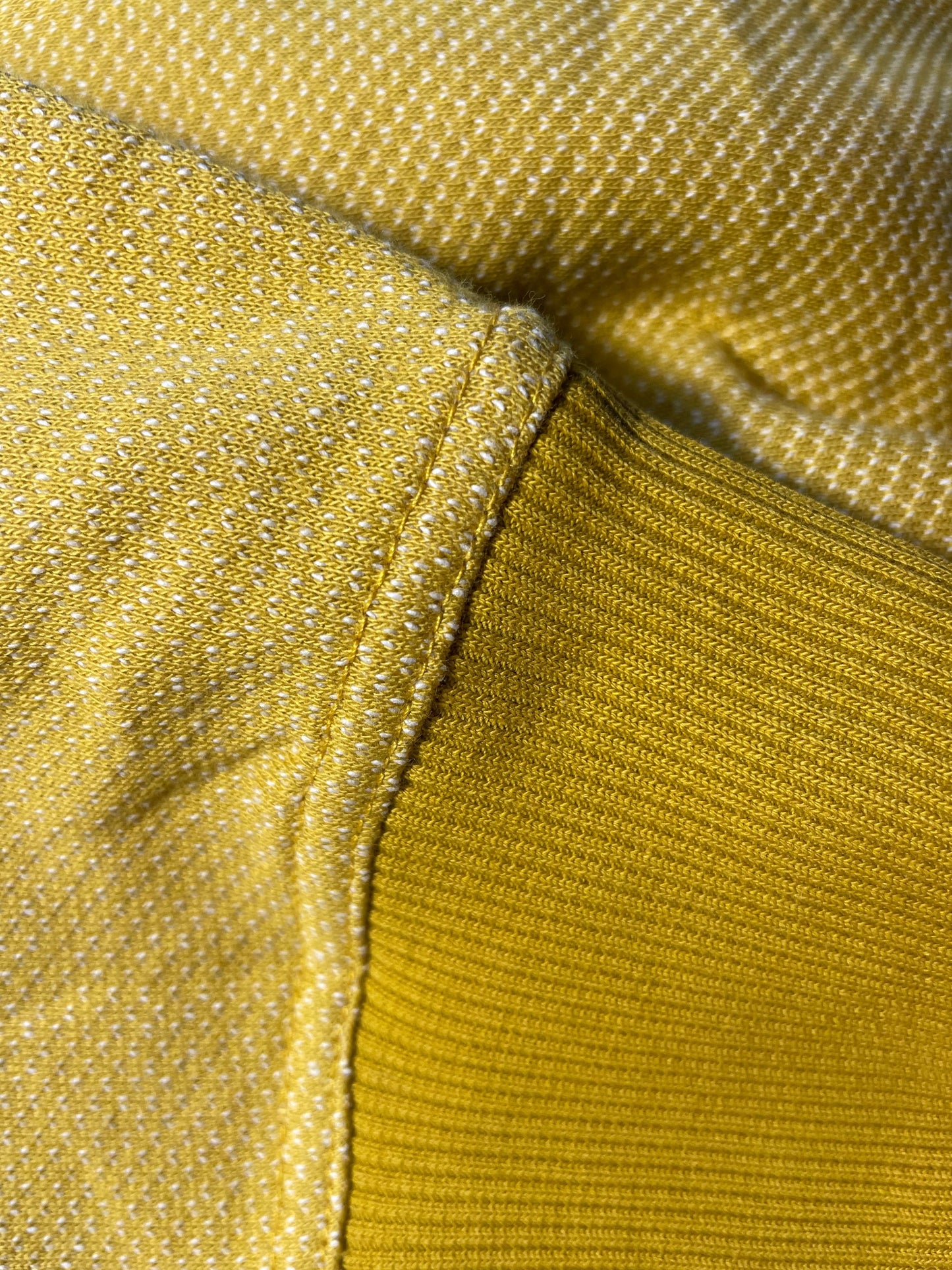 BICOLOR FUNNELNECK / MUSTARD