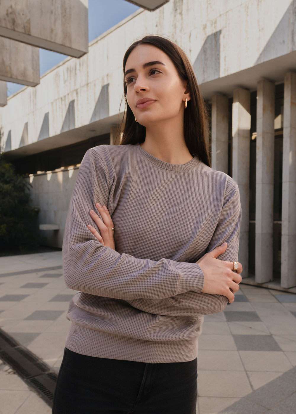 HIVE CREWNECK / GREY